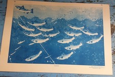 Listing image for Vintage Empire Marketing Board Poster Print. Salmon. Charles Paine. 1930s VGC.